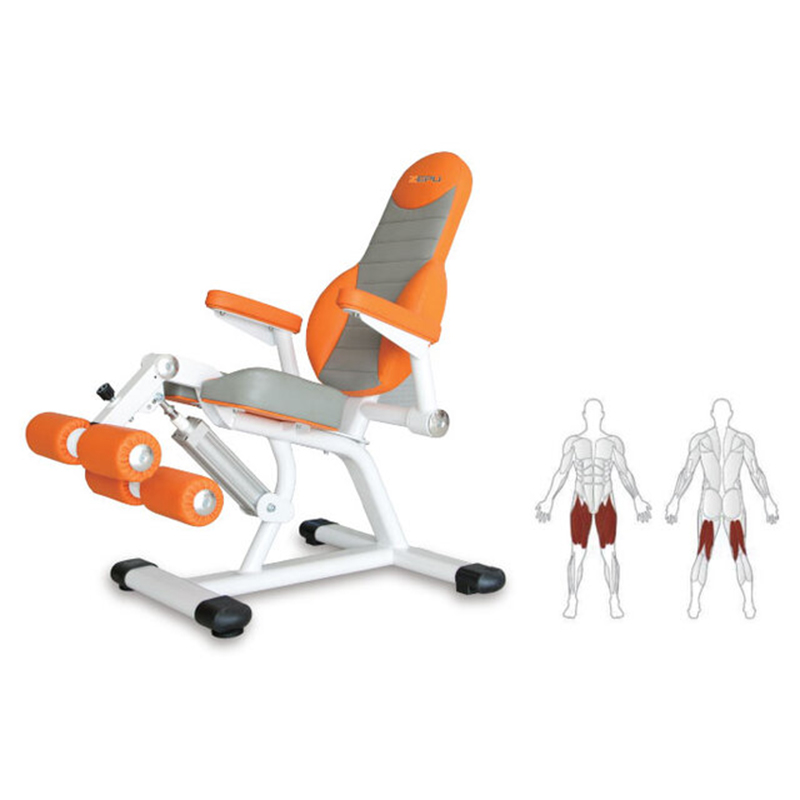 extension trainer